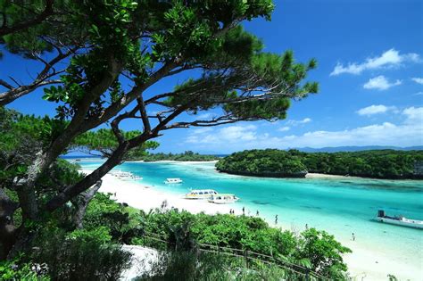 沖繩哪個島好玩：多元體驗探索各大沖繩島嶼之魅力